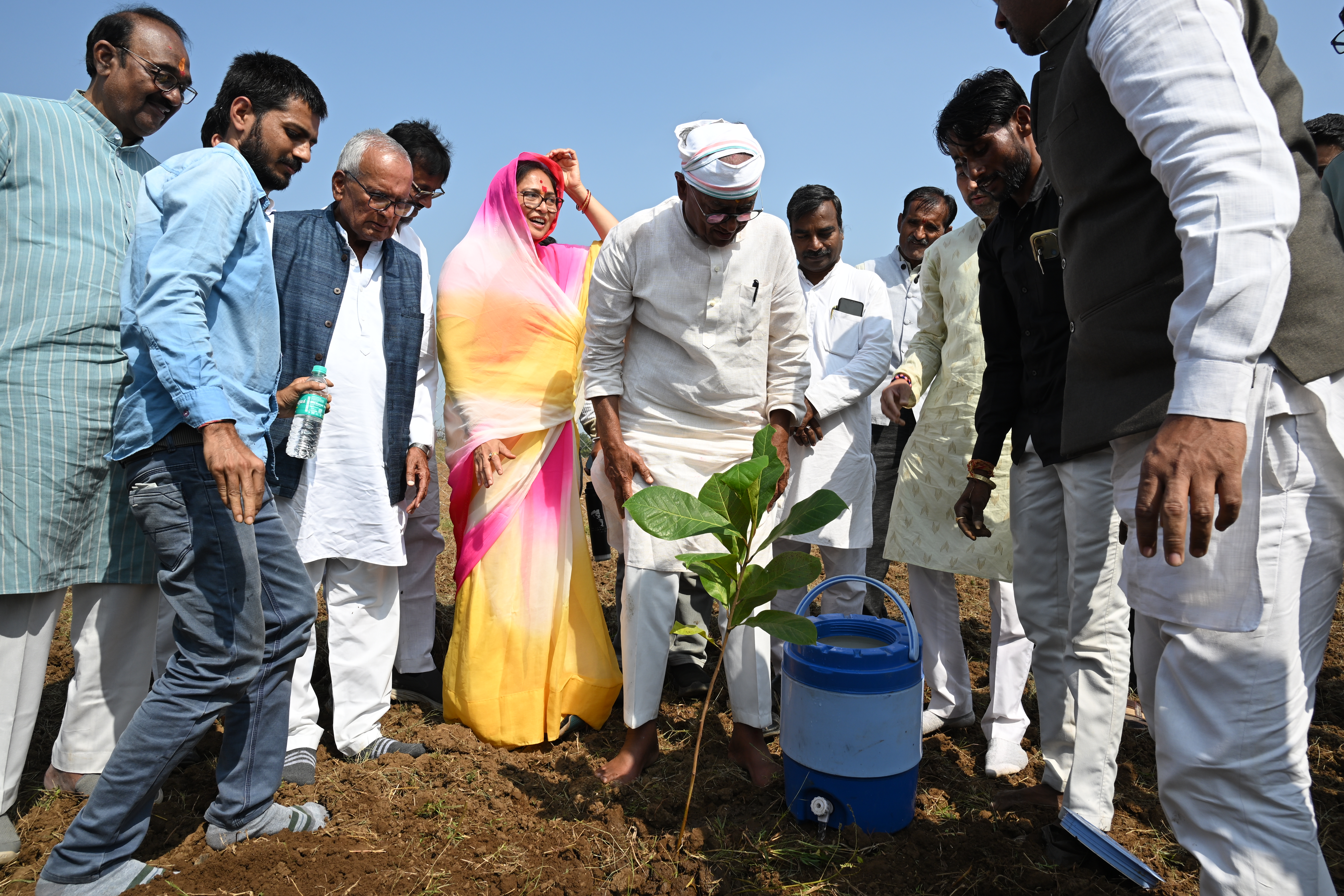 Plantation Drive