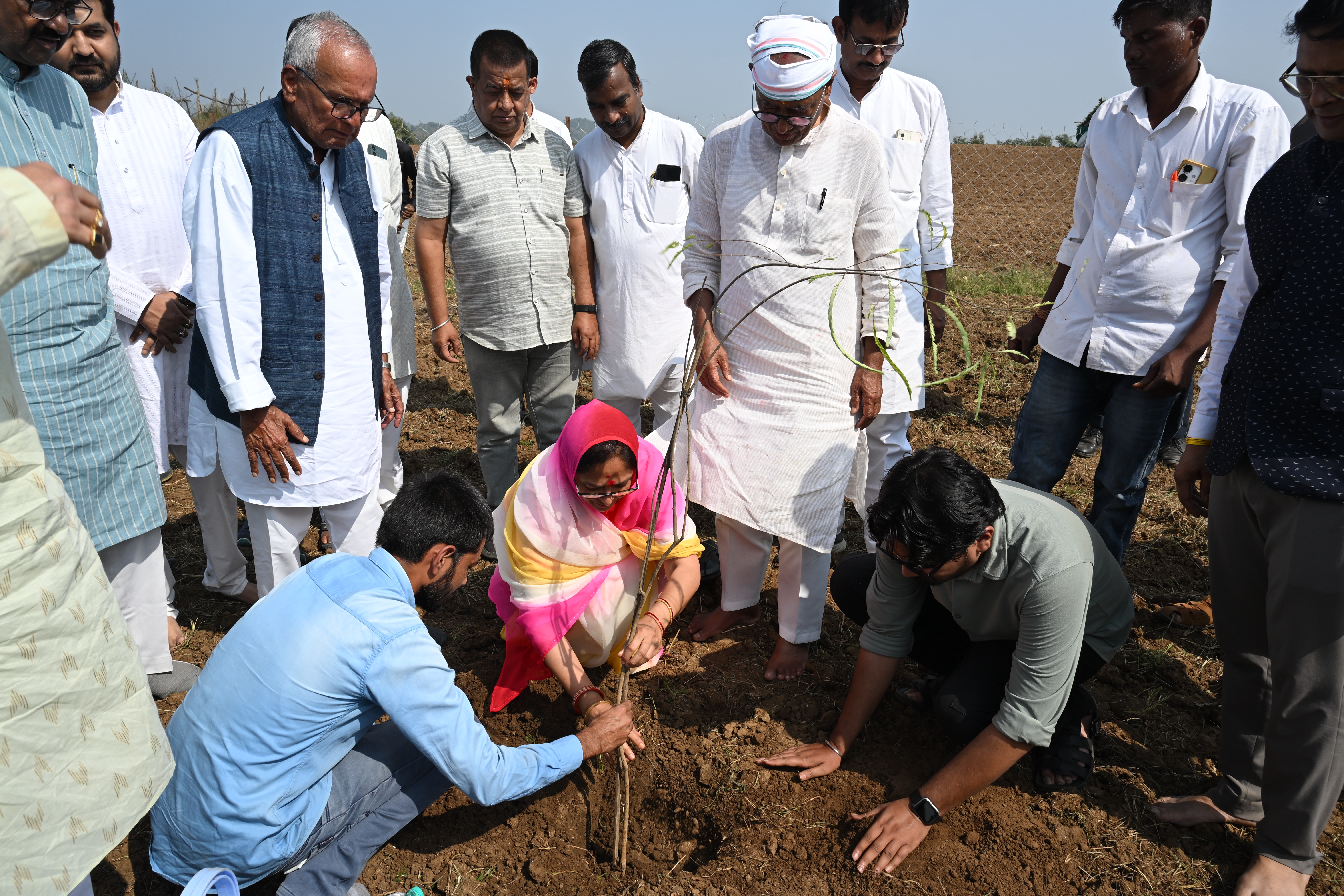 Plantation Drive